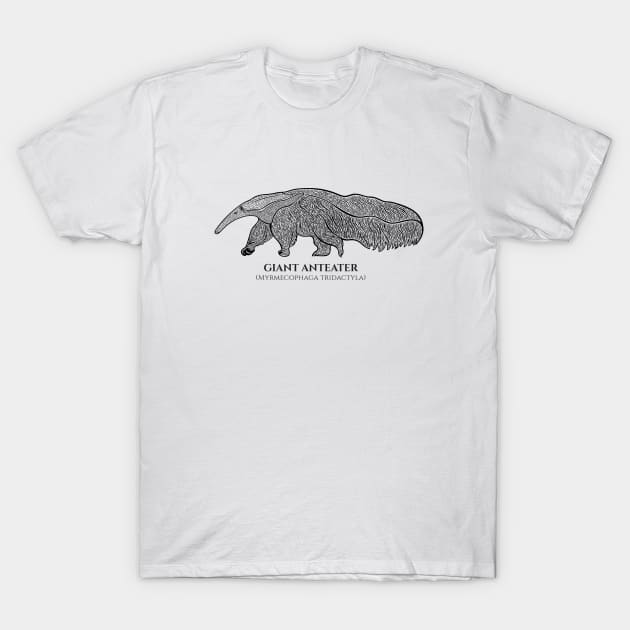 Giant Anteater with Common and Latin Names - animal on white T-Shirt by Green Paladin